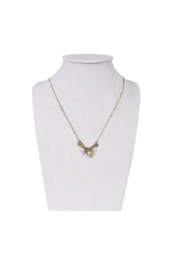 COLMILLO NACARDORADO